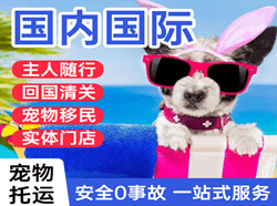 牡丹江机场空运国际宠物托运 【国